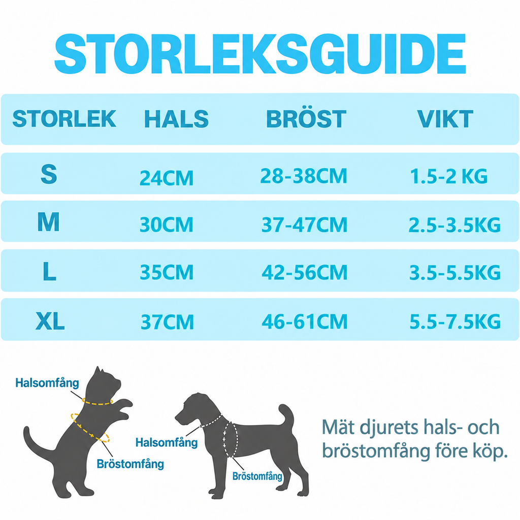 Blå kattsele i mesh med matchande koppel