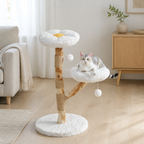 Vitt blomformat klösträd i hemmiljö med katt