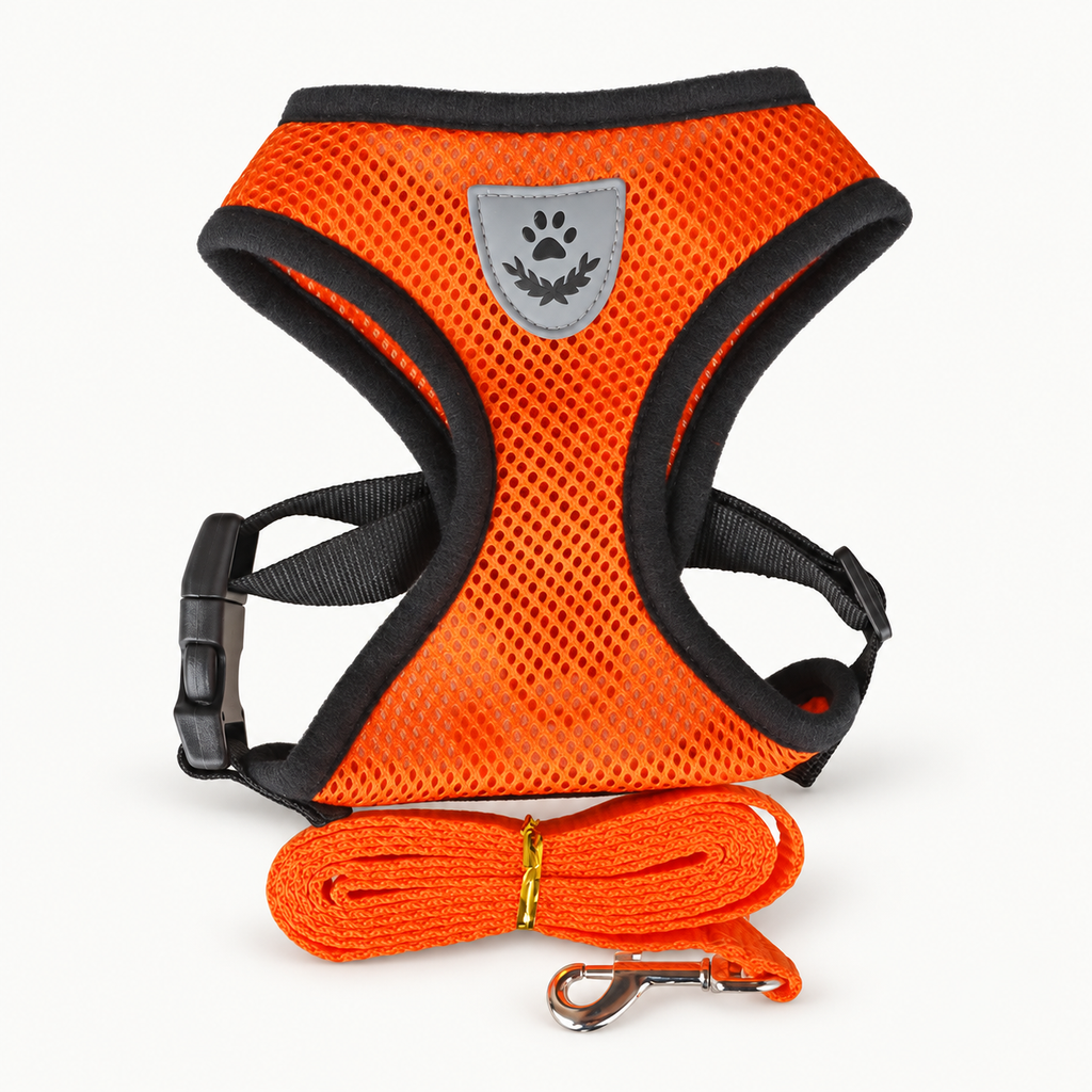Orange kattsele i mesh med matchande koppel