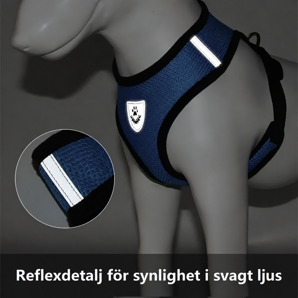 Justerbar kattsele i mesh med reflex och koppel, bild 13