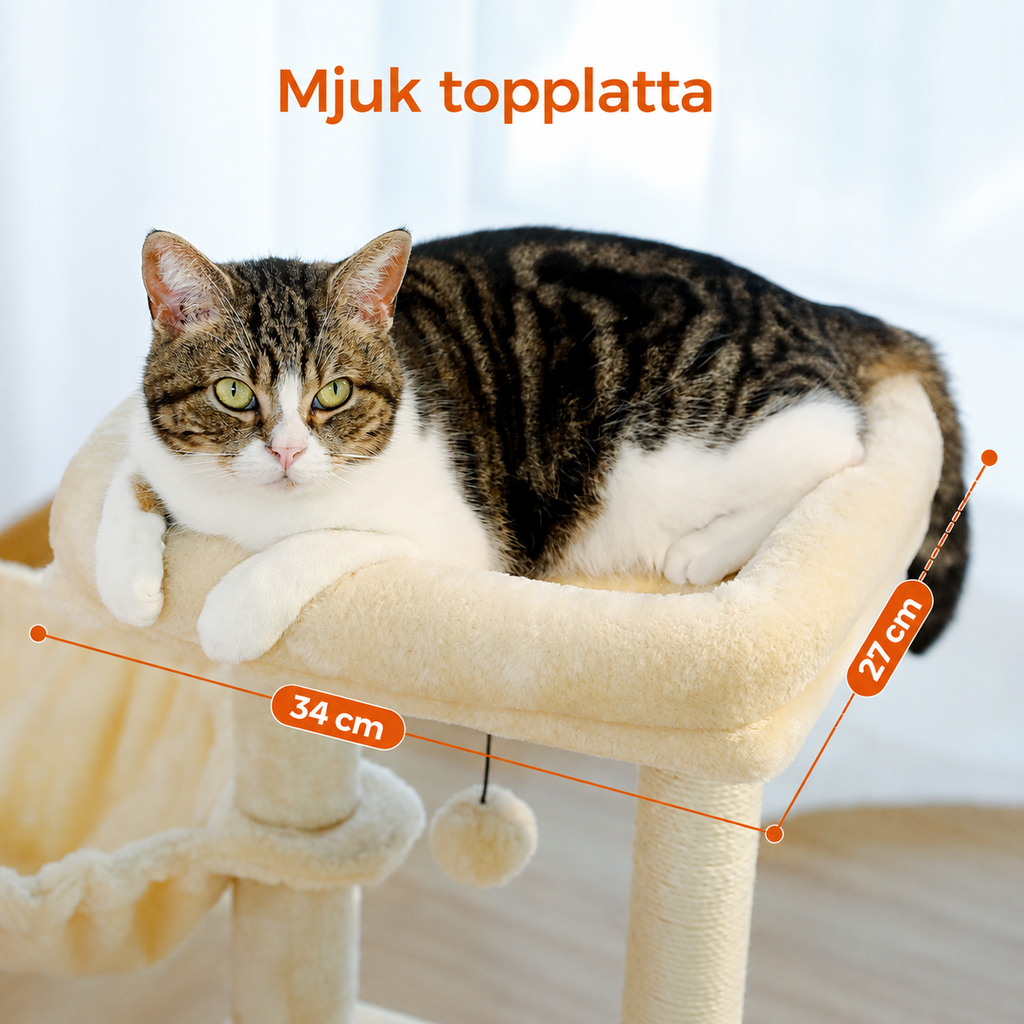 Katt på topplatta med måtten 34 × 27 cm