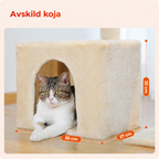 Katt i avskild koja med måttmarkeringar