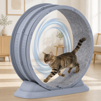 Ljusgrått kattmotionshjul med grå löpmatta och katt
