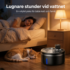 Trådlös vattenfontän för katt med rostfri skål, 2,5 l, i hemmiljö